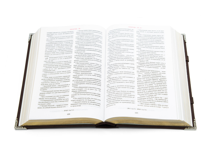 The Ark Bible